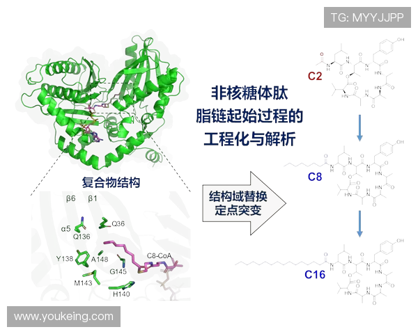广州羽毛球队防反战术创新探讨与实践成果分析