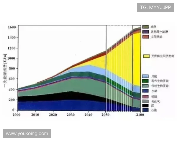 深圳足球队的崛起与挑战分析：力量与未来的深度探讨