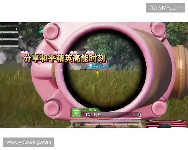 FPX战术领先和平精英最新TOP10分析与策略分享